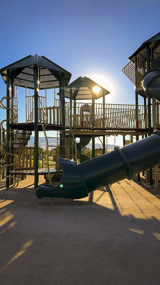 Damonte Ranch Park, Reno, Nevada In the shade at Damonte Ranch Park, 2017 Copyright Will Hull, Windy Pinwheel