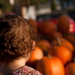 Look at all the Pumpkins, 2012 Copyright Will Hull, Windy Pinwheel
