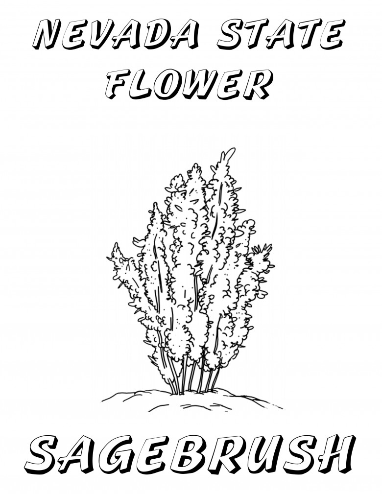 Nevada Day Coloring Book: Sagebrush, the State Flower Nevada Day Coloring Book: Sagebrush, the State Flower, 2012 Copyright Christine Hull, Windy Pinwheel