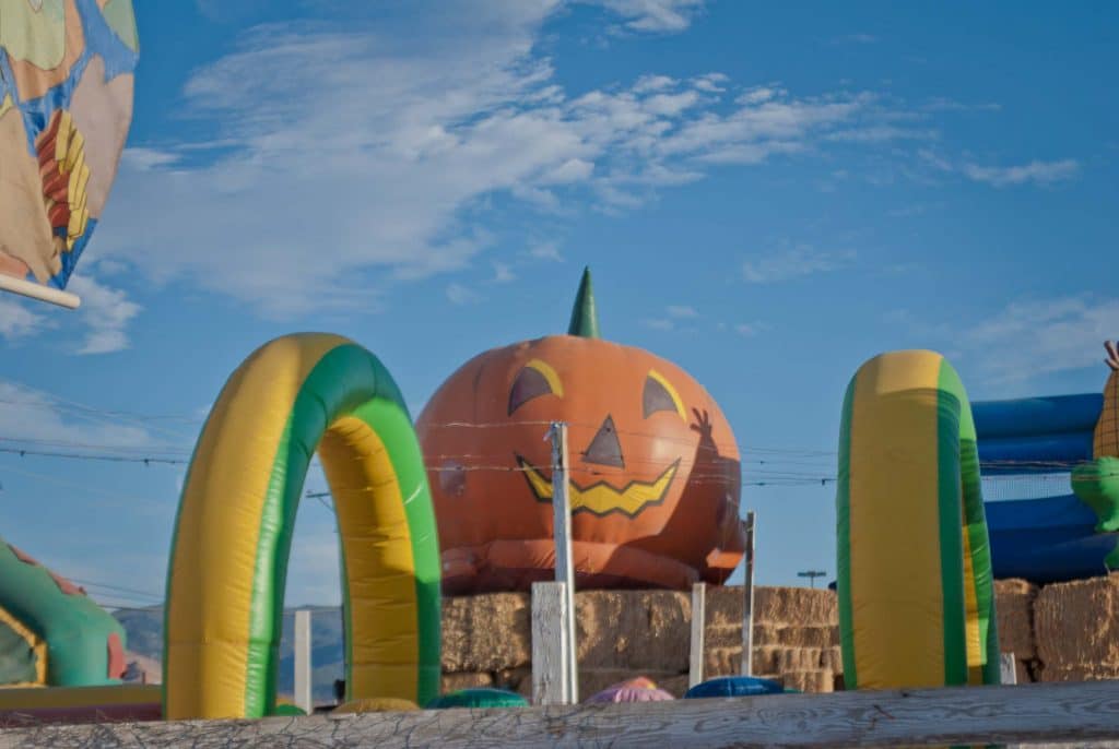 Toll House Pumpkin Patch: Pumpkin Bounce House toll house pumpkin patch Toll House Pumpkin Patch: Pumpkin Bounce House, 2012 Copyright Christine Hull, Windy Pinwheel toll house pumpkin patch