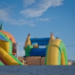 Toll House Pumpkin Patch: View of a Bounce House toll house pumpkin patch Toll House Pumpkin Patch: View of a Bounce House, 2012 Copyright Christine Hull, Windy Pinwheel toll house pumpkin patch