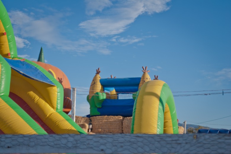 Toll House Pumpkin Patch: View of a Bounce House toll house pumpkin patch Toll House Pumpkin Patch: View of a Bounce House, 2012 Copyright Christine Hull, Windy Pinwheel toll house pumpkin patch