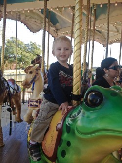 The Nut Tree: Carousel, 2012 Copyright Christine Hull, Windy Pinwheel