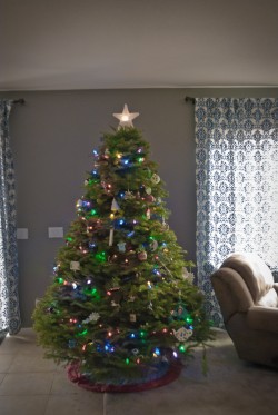 Reno Christmas Trees: Will and Christine's Tree Reno Christmas Trees: Will and Christine's Tree, 2012 Copyright Will Hull, Windy Pinwheel