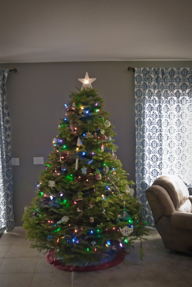 Reno Christmas Trees: Will and Christine's Tree Reno Christmas Trees: Will and Christine's Tree, 2012 Copyright Will Hull, Windy Pinwheel