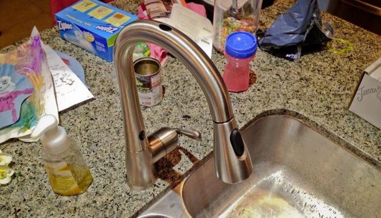 Moen Arbor with MotionSense™ Kitchen Faucet, Copyright 2013 Will Hull, Windy Pinwheel