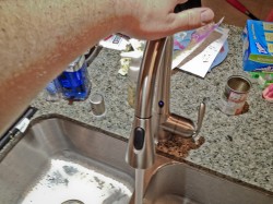 Moen Arbor with MotionSense™ Kitchen Faucet, Copyright 2013 Will Hull, Windy Pinwheel