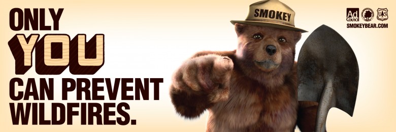 Smokey Bear Poster: 2001 Banner, Source: PR Newswire