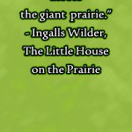 Bookmarks: Little House on the Prairie, 2013 Copyright Will Hull, Windy Pinwheel