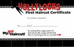 Hollylocks: Baby's first haircut, Source: Hollylocks website