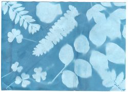 kids craft idea Kids craft ideas: Nature Print Paper: Example, Source: Jimmie's Collage kids craft idea
