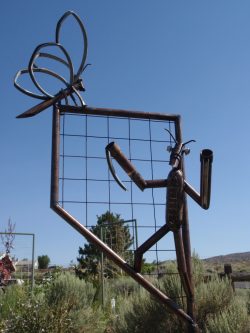 Source: Nevada Bugs & Butterflies [object object]