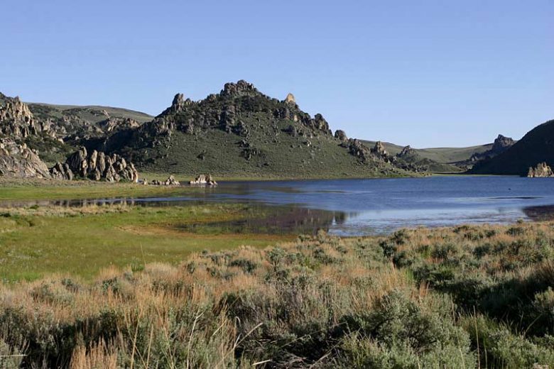 fishing in nevada Fishing in Nevada: Knott Creek Reservoir, Source: Lisa Johnson, Fall For Fishing fishing in nevada