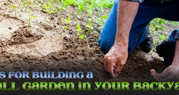 8 tips for building a small garden in your backyard