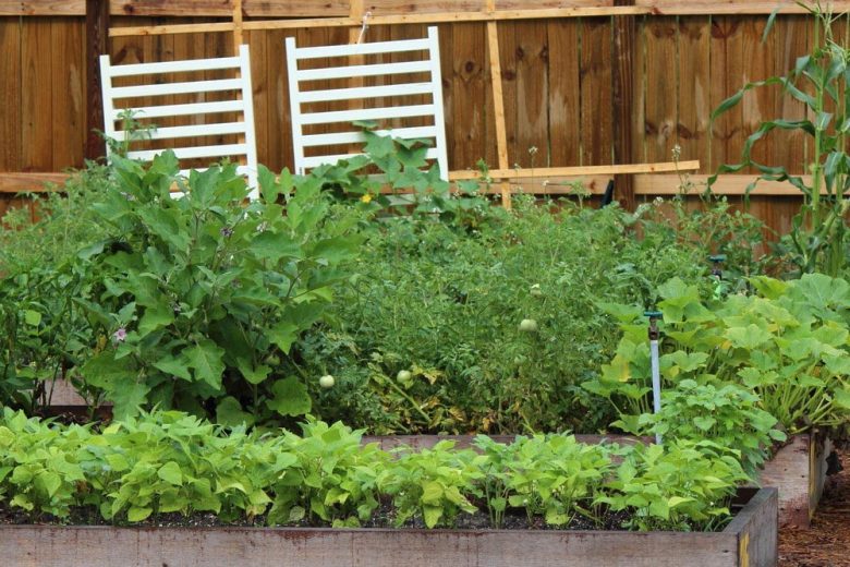 Start designing the small garden, Source: Ann Katelyn, SumoGardener.com