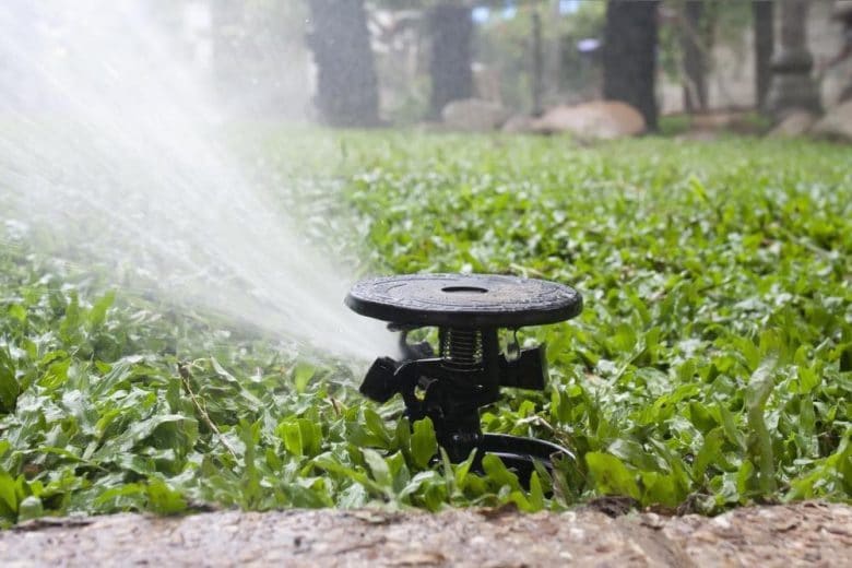 Watering your garden well, Source: Ann Katelyn, SumoGardener.com