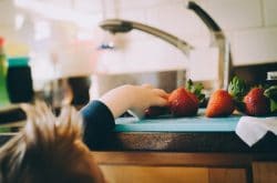 healthy eating habits for kids Building healthy eating habits for kids: A child reaching for strawberries on a kitchen counter, Source: Jennifer O'Neal at AllExerciseBikes.net healthy eating habits for kids