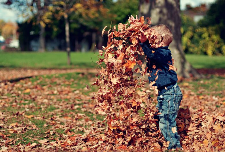 vaccines protect children against disease Kid playing in fallen leaves, Source: Pexels vaccines protect children against disease