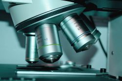 vaccines protect children against disease Microscope slide research close-up, Source: Pexels vaccines protect children against disease