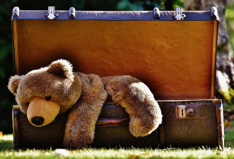 Teddy bear climbing out of luggage, Source: Pixabay