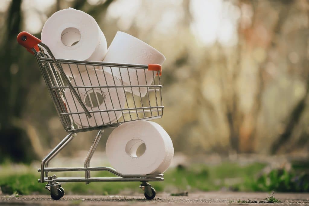 Toy shopping cart filled with toilet paper rolls, Source: Pixabay